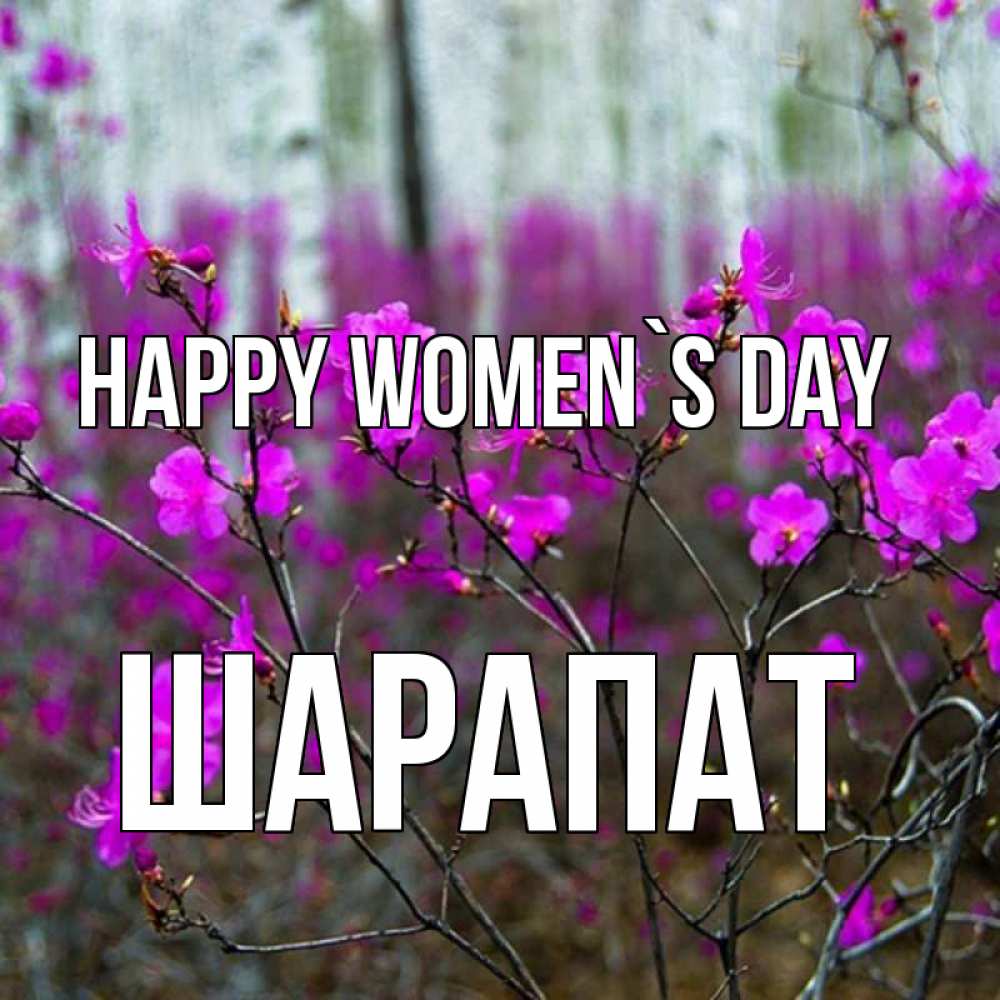 Greetings card с именем, ШАРАПАТ happy women`s day дикие цветы Greetings with text for free download 